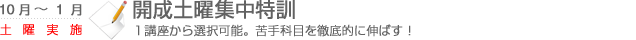 開成土曜集中特訓　1講座から選択可能。苦手科目を徹底的に伸ばす！