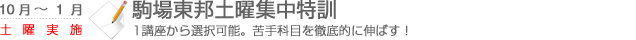 駒場東邦土曜集中特訓　1講座から選択可能。苦手科目を徹底的に伸ばす！