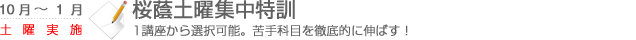 桜蔭土曜集中特訓　1講座から選択可能。苦手科目を徹底的に伸ばす！