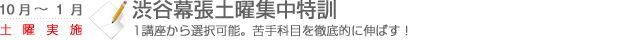 渋谷幕張土曜集中特訓　1講座から選択可能。苦手科目を徹底的に伸ばす！