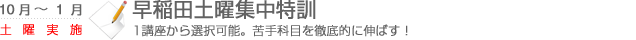 早稲田土曜集中特訓　1講座から選択可能。苦手科目を徹底的に伸ばす！