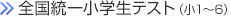 全国統一小学生テスト（小2～5）