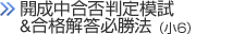 開成中合否判定模試＆合格解答必勝法（小6）