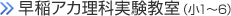 早稲アカ理科実験教室（小1～6）
