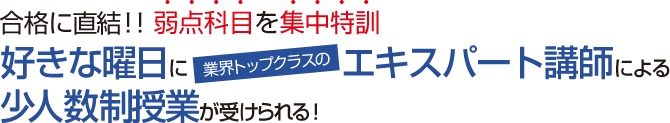 合格に直結!!弱点科目を集中特訓　好きな曜日に業界トップクラスのエキスパート講師による少人数制授業が受けられる！