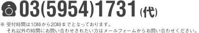 03(5954)1731(代)