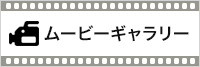 早稲アカ 観る　ムービーギャラリー | 講演会から授業風景まで早稲アカを動画で紹介