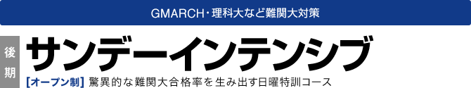 高3対象　驚異的な難関大合格率を生み出す日曜特訓コース　サンデーインテンシブ