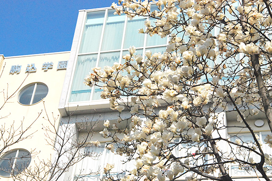 駒込中学校・高等学校