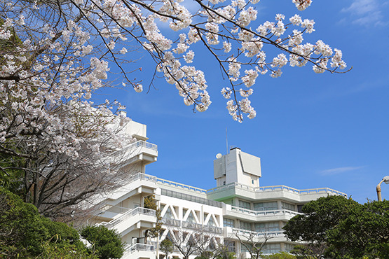 山手学院中学校・高等学校
