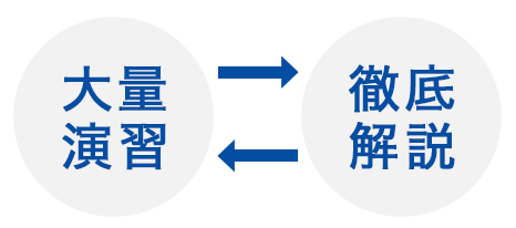 大量演習+徹底解説
