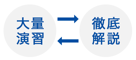 大量演習＋徹底解説