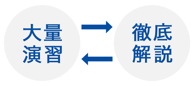 大量演習+徹底解説