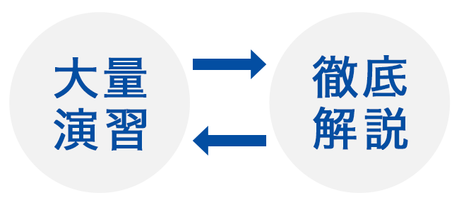 大量演習＋徹底解説