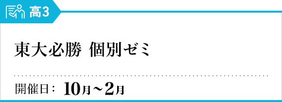 東大必勝 個別ゼミ