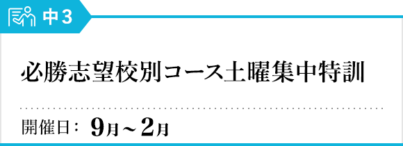 必勝志望校別コース 土曜集中特訓