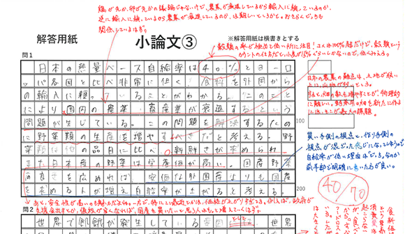 小論文 添削例
