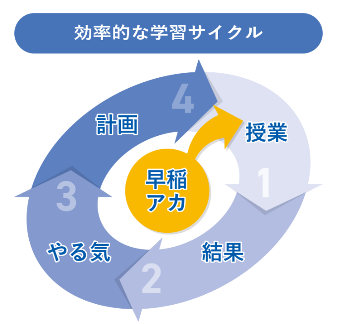 効果的な学習サイクル