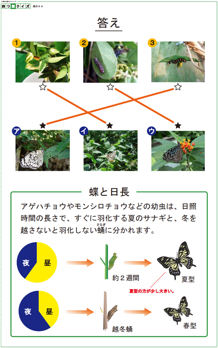 四つ葉のクイズ 其の44解答
