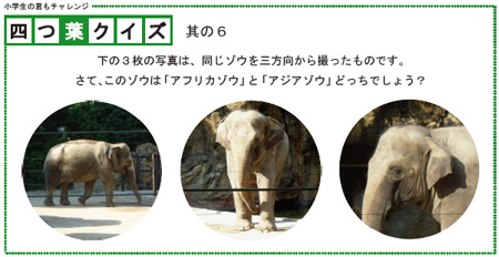四つ葉のクイズ 其の6