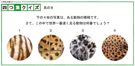 四つ葉のクイズ 其の8