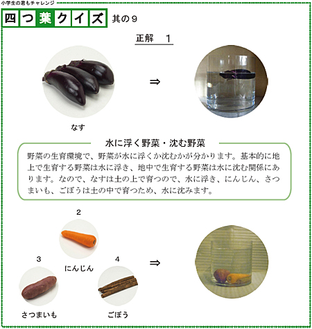 四つ葉のクイズ　其の9　解答