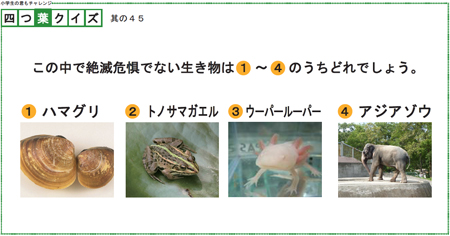 四つ葉のクイズ 其の45