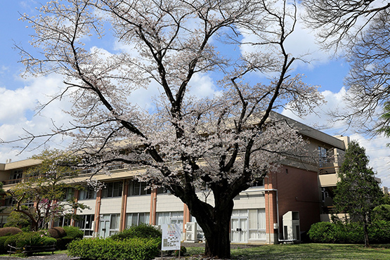 国際基督教大学高等学校