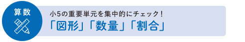 算数:小5の重要単元を集中的にチェック!「図形」「数量」「割合」